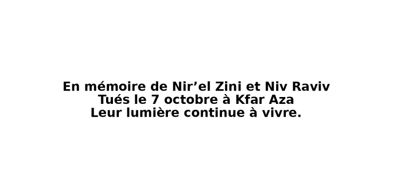 banniere_memorial_zini_elementor (2)